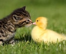 前世まで見通す力であなたの行くべき方を当てます 日常に悩んでいる人、恋愛に疲れた人に癒しを与えます イメージ1