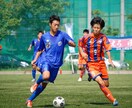 お子さんのサッカー指導法教えます お子さんのサッカー指導法に悩まれてる方！一度ご相談を！ イメージ1