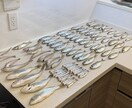 はじめての魚釣り！をお手伝いします 魚釣り、何からすれば良いの？をレクチャーします！ イメージ1