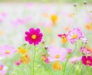 どんな悩みでもお聞きします どんな小さな悩みでも相談下さい。 イメージ1