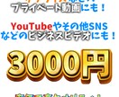 安価で動画編集をします 20分以内の動画を高クオリティで編集します イメージ1