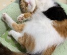 何でも愚痴聞きや相談受け付けます 恋愛からメンタル面まで幅広く対応出来ます。 イメージ1