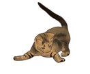 あなたの飼っている猫ちゃんをイラスト化します ペットの猫ちゃんを可愛いイラストにしませんか？ イメージ4