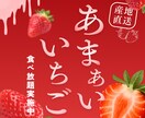 世界観が伝わる！SNS画像・WEB画像作成承ります 先着10名【モニター価格1000円〜】選べるテイスト！ イメージ5
