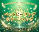ペットの想いをリーディングし、ヒーリングします あの子が今感じていること、伝えたい想いを届けます イメージ1