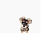愛犬の写真を切り抜きイラスト風にます シンプルで使いやすい物なのでアイコン、壁紙等に是非！ イメージ4