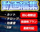 YouTube初心者の方、動画編集を承ります カットとテロップ中心で見やすく仕上げます イメージ1