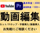 YouTube の動画編集を承ります 長尺でもショートでも歓迎です。投げやり歓迎してます。 イメージ1