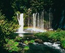 どんな撮影でも承ります 感動を写真に閉じ込め最大限の表現をいたします イメージ7