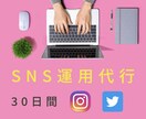 SNSの運用代行いたします Instagram・Twitter・公式LINEの運用代行 イメージ1