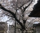 職場の悩みを聞きます 元人事が職場の悩みや転職相談の悩みを聞きます イメージ1