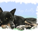 ペットのお写真を素敵なイラスト風に加工します あなたとペット(犬、猫など)の写真も可♪ハガキなどにどうぞ イメージ7