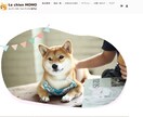 Webサイトのカンプ制作いたします 女性向け・やさしく上品なデザイン イメージ4