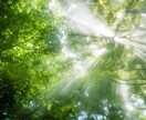 心のモヤモヤ、軽くします ～あなたの輝く日々のために、心の悪循環の解消をサポート！！～ イメージ3