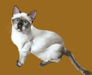いろいろな可愛い猫ちゃんの似顔絵を描きます 大好きな猫の姿が写真の美化やアイコンなどを作りたいあなたへ イメージ2