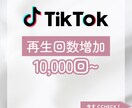 TikTok10,000回〜再生回数増やします TikTok動画宣伝します！10,000回1500円〜 イメージ1
