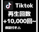 Tiktokの再生回数10000回増やします 格安でtiktokの再生回数伸ばします！ イメージ1