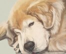 リアルで存在感のあるイラストを描きます 毛並みやお顔をしっかりと描きこんだリアルなイラスト イメージ3