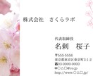 名刺デザインいたします さわやかな名刺デザインつくります イメージ2