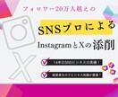 あなたのアカウントをプロが添削します フォロワー20万人越えのSNSのプロが教えます イメージ1