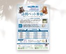 高品質で低価格!修正無制限でチラシ制作します デザイナー歴10年以上のベテランなので安心してお任せください イメージ10