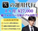 Xで集客増加!!1ヶ月間運用代行をします SNSプロがフォロワー/エンゲージメントを完全サポート イメージ1