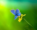 気になるあの人の気持ちを霊視します 気になる相手が何を考えているかわからないあなたへ イメージ8