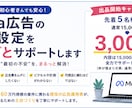 初心者歓迎！Meta広告の初期設定をサポートします 広告配信を始めるための初期設定を、わかりやすく丁寧にサポート イメージ1