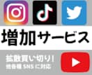 各種SNS増加サービス販売します 買い切り型で安心！マニュアルもございます★ イメージ1
