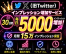 30日間Xインプレッション5000以上増加させます X（旧Twitter）30日間増加！1日３投稿まで対応可能〇 イメージ1