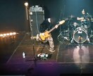 ベース音作り相談｜鳴らす音を設計します 機材より指と木を信じる音作りをあなたに イメージ1
