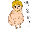 大切なペットのLINEスタンプ【８個】作ります 特徴をとらえ、一目で「この子のスタンプだ！」とわかります。 イメージ2