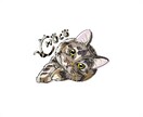 おしゃれポップな似顔絵描きます♡ます 格安♡SNS画♡愛ペットをおしゃれポップ似顔絵♡ イメージ1