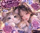 猫心リーディング。愛猫の声をあなたに届けます 愛する猫ちゃんの本音を聴いて、今よりもっと絆を深めませんか？ イメージ1