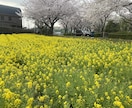 浮気！？聞きます 大丈夫。浮気する奴は必ず罰が下るから。 イメージ1