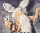 喧嘩上等！なりきりヤンキーがお話し聞きます あたいが聞いてやるよ！しっかり話せよ！夜露死苦！クーポン可 イメージ6