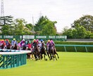 阪神競馬予想☆小頭数で的中目指します 人気に左右されない予想☆12/31までの特別価格！！ イメージ1