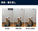 写真や画像でお困りの方！安価で写真レタッチします デザイナーの視点で色味や構図を調整し、綺麗な仕上がりに！ イメージ4