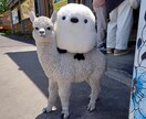 モームリ！仕事でミスして怒られたお話しお聴きします 接客歴10年✨仕事が辛い！辞めたい！だから、1人で悩まないで イメージ10