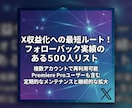 X収益化！フォロバ確認済ブルーバッジ名簿提供します コミュニティ・タグ不要！ブルバ500人のフォロワーが欲しい方 イメージ1