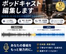 プロエディターがあなたのポッドキャストを編集します 未来のトップポッドキャストを始めたいあなたへ イメージ2