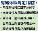 貴社規定の有給休暇をExcelで管理します 有給休暇の付与・消化・繰越・消滅を自動計算 イメージ7