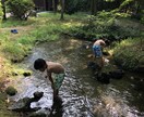 子連れおでかけプランを提案します (子どもが喜ぶお出かけプランをご提案いたします) イメージ1