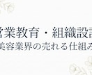営業教育・組織設計で売れる仕組みを作ります 営業課題を整理し仕組みづくりを支援します イメージ4