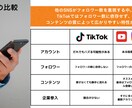 お試し版！！TikTokをゼロからスタートします まずは1本から、TikTok運用の効果を体験してみませんか？ イメージ5