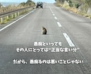 愚痴ってください❗️お気もち受けとめます ✅吐き出してスッキリしましょう❗️大丈夫、秘密厳守します❗️ イメージ2