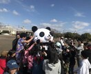 あなたのお悩みパンダ部長がアドバイスします ゆるキャラ『パンダ部長が』あなたの悩みにコメントします。 イメージ1