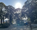 魂に刻まれた深いブロックを月4回、封印解除します あなたの光は目覚めることで3〜5世代先まで広がります。 イメージ3