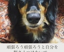 心に寄り添い話を聞きます あなたの閉ざしている気持ちを私に話してみませんか？ イメージ2