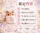 推しぬい・ぬいぐるみ・ドールの気持ちを占います 24時間以内に対応｜“この子”の気持ちとつながりを丁寧に鑑定 イメージ3